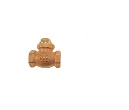 Horizontal Check Valve 3/16 X40